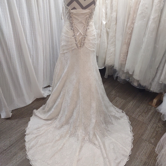 David's Bridal size 4 Wedding Dress With Corset - Picture 11 of 14